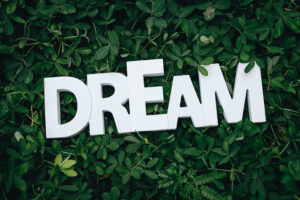 Dream text on green leaves