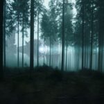 star wars tie fighter toy xwing 4324301