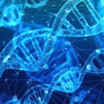 dna, analysis, research
