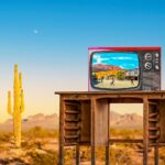 tv, television, cactus